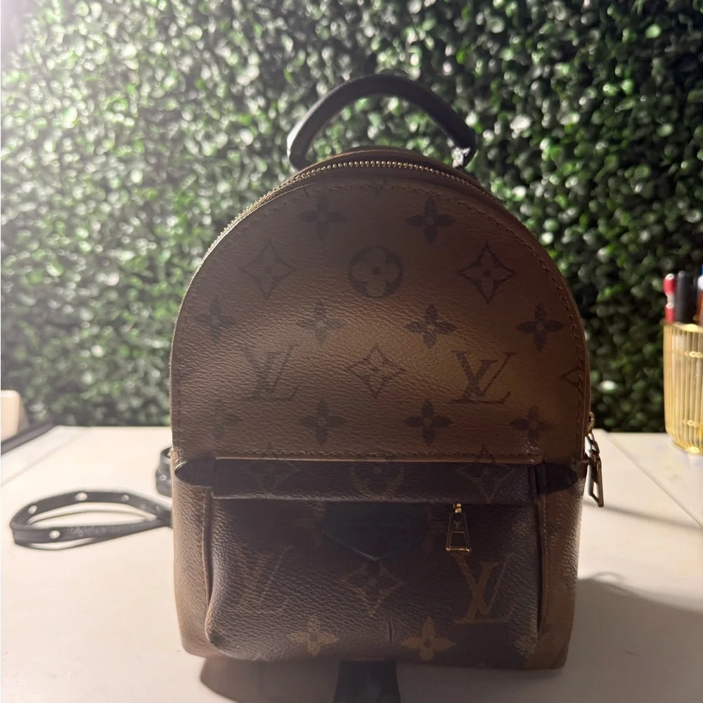 Louis Vuitton LV reverse Monogram Palm Springs Mini - Picture 16 of 16